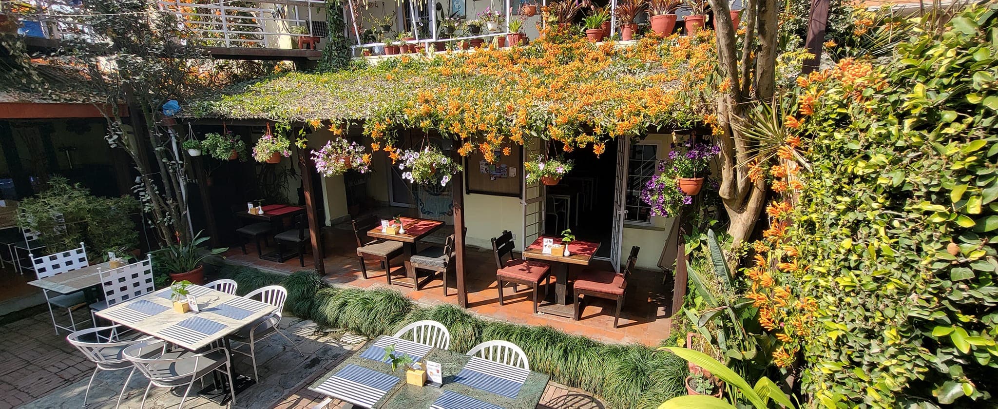 Eat Out | Viatnamese at jhamshikhel